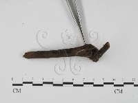 登錄號:F0001449藏品圖，第3張