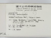 登錄號:F0001450藏品圖，第2張