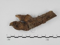 登錄號:F0001450藏品圖，第1張