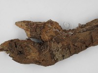 登錄號:F0001450藏品圖，第3張