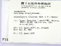 登錄號:F0001451藏品圖，第2張