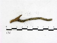 登錄號:F0001451藏品圖，第1張