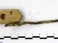 登錄號:F0001451藏品圖，第3張