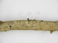 登錄號:F0001451藏品圖，第5張