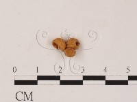 登錄號:F0001452藏品圖，第4張