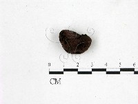 登錄號:F0001453藏品圖，第1張