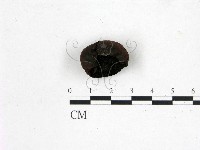 登錄號:F0001453藏品圖，第3張