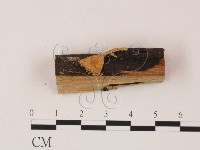 登錄號:F0001454藏品圖，第1張