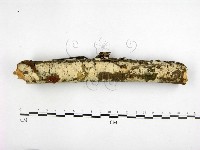 登錄號:F0001458藏品圖，第1張