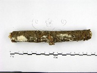 登錄號:F0001458藏品圖，第3張