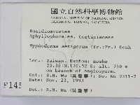 剛毛絲皮菌藏品圖，第2張
