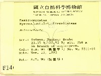 刺皮菌屬藏品圖，第2張