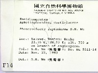 登錄號:F0001462藏品圖，第2張