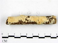 登錄號:F0001462藏品圖，第1張