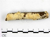 登錄號:F0001462藏品圖，第3張