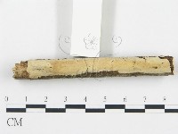 登錄號:F0001463藏品圖，第1張