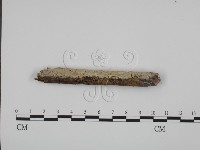 登錄號:F0001464藏品圖，第1張
