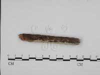 登錄號:F0001464藏品圖，第3張