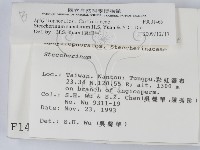 登錄號:F0001465藏品圖，第2張