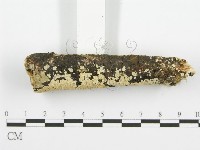 登錄號:F0001465藏品圖，第3張