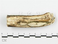 登錄號:F0001465藏品圖，第4張