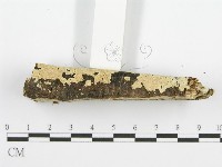 登錄號:F0001465藏品圖，第5張