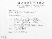 登錄號:F0001466藏品圖，第2張