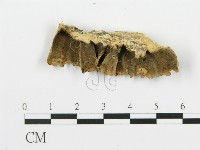 登錄號:F0001466藏品圖，第1張