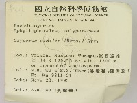 登錄號:F0001467藏品圖，第2張