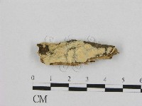 登錄號:F0001467藏品圖，第1張