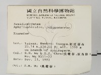 栓菌屬藏品圖，第2張
