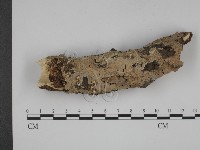 登錄號:F0001471藏品圖，第1張