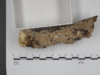 登錄號:F0001471藏品圖，第3張