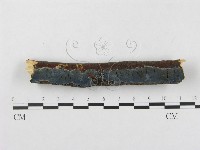 登錄號:F0001472藏品圖，第3張