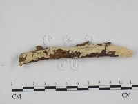 登錄號:F0001474藏品圖，第1張