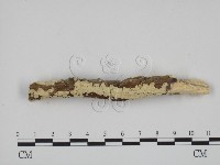 登錄號:F0001474藏品圖，第3張