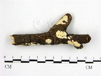登錄號:F0001475藏品圖，第1張