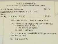 登錄號:F0001476藏品圖，第2張