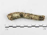 登錄號:F0001476藏品圖，第1張