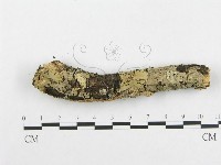 登錄號:F0001476藏品圖，第4張