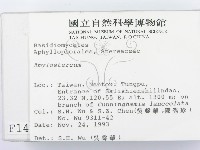 登錄號:F0001478藏品圖，第2張