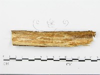 登錄號:F0001478藏品圖，第3張
