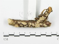登錄號:F0001479藏品圖，第3張