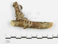 登錄號:F0001479藏品圖，第4張