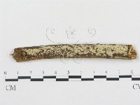 登錄號:F0001480藏品圖，第1張