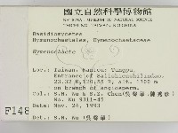 刺革菌屬藏品圖，第2張
