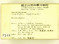 刺皮菌屬藏品圖，第2張