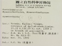 刺革菌屬藏品圖，第2張