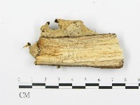 登錄號:F0001485藏品圖，第3張