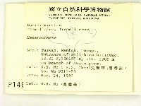 刺皮菌屬藏品圖，第2張